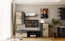 CONJUNTO MUEBLE SALÓN